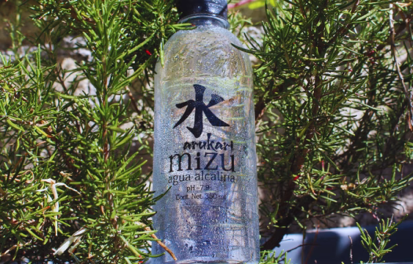 Botella de 1 Litro